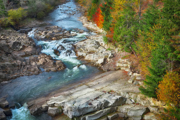 istock Autumn creek woods with colorfull trees foliage 822852544
