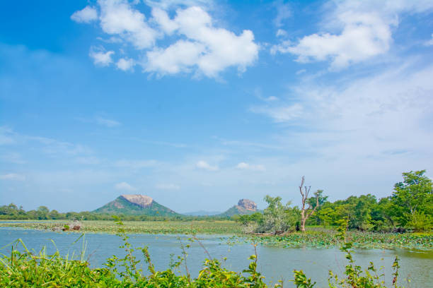 istock Sigiriya Rock Fortress View From Thalkote Lake 822854172