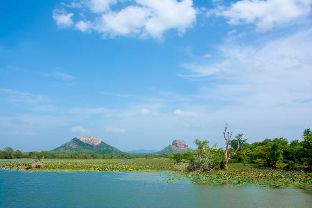 istock Sigiriya Rock Fortress View From Thalkote Lake 822855458