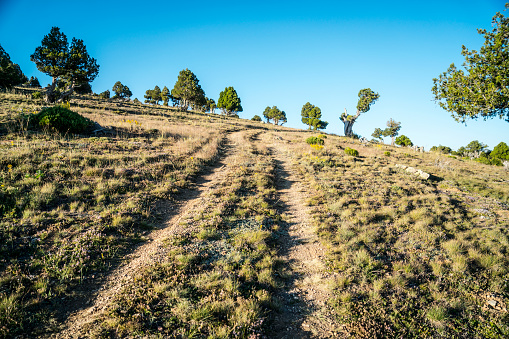 Winding dirt road among green meadows going to the hill near Antalya, Turkey