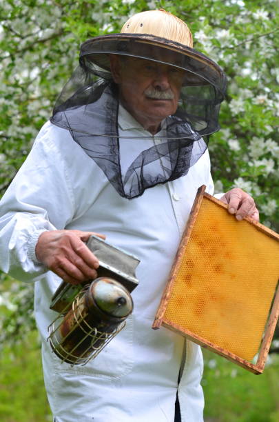 istock senior beekeeper making inspection in apiary in the springtime 822868760