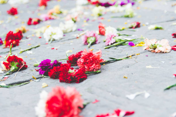 istock Fully Colored Flowers on the Street 822886960