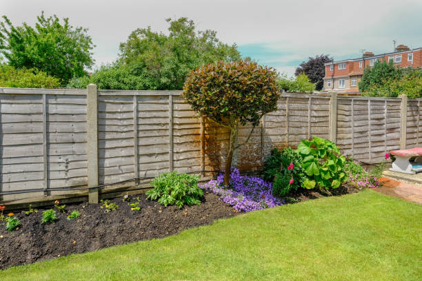 istock Flower bed in the back-garden with a fence 822888538