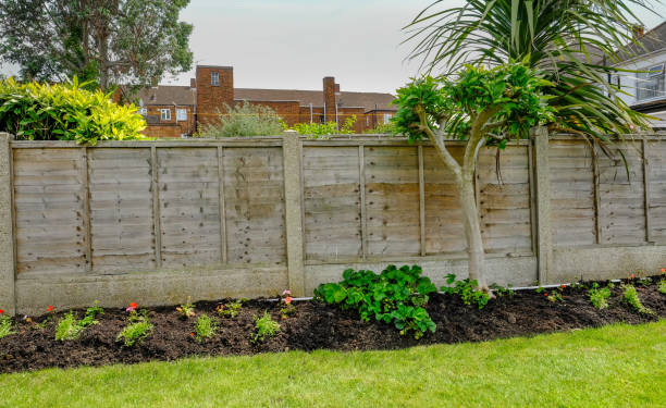 istock Flower bed in the back-garden with a fence 822892824
