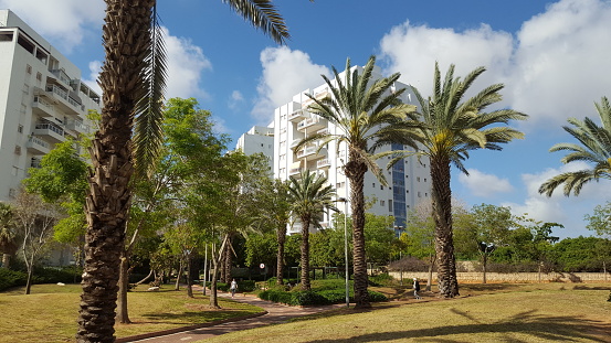 Rishon LeZion, Israel - April 14, 2016: Tall green palm trees grow in the city park is placed among residential multi-story buildings in Khisdai Street in Neot Shikma neighborhood. Two unidentified persons walk on path pavement there under beautiful sky. Horizontal shot on beautiful sky background.