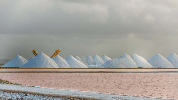istock White Salt and Pink Water. This image is GPS tagged 822904082
