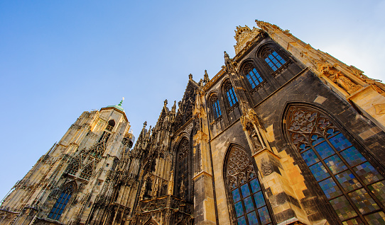 St. Stephen's Cathedral (Stephansdom) is the mother church of the Roman Catholic Archdiocese of Vienna and the seat of the Archbishop of Vienna, Christoph Cardinal SchÃ¶nborn, OP