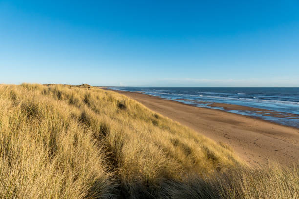 istock Balmedie beach dunes and sand. 822912116