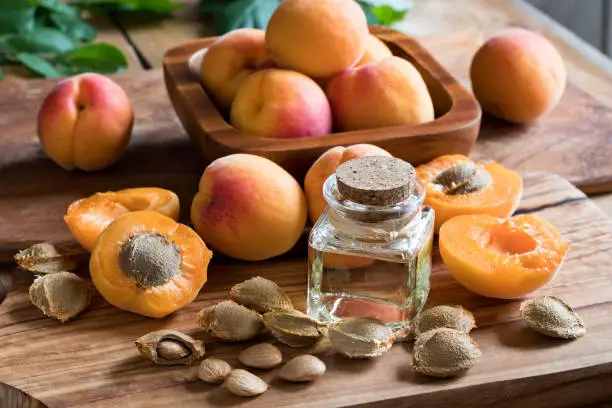 A bottle of apricot kernel oil with apricot kernels and ripe apricots on a wooden table