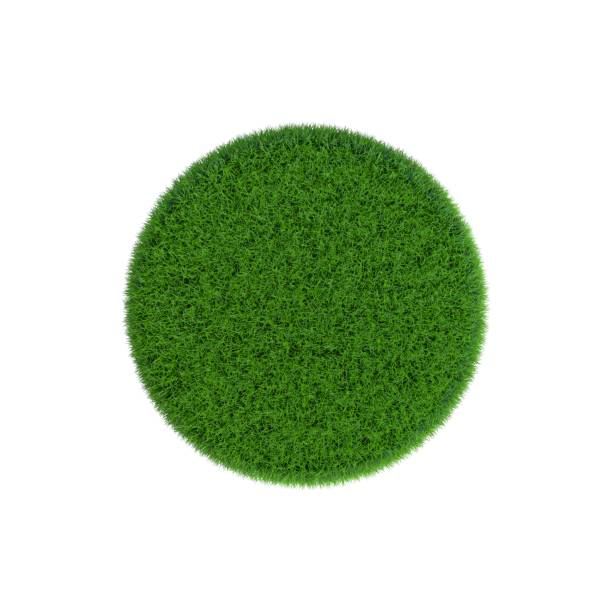 istock Patch of grass in form of circle. 3D rendering illustration. 822951672