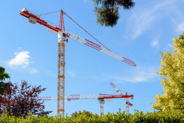 Three tower cranes with foliage against blue sky Low angle view of three tower cranes on a construction site with foliage against blue sky. sailboat mast stock pictures, royalty-free photos & images