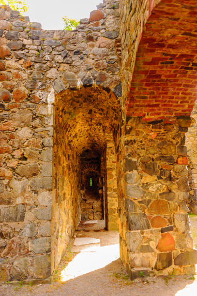 istock Ruins of Sigtuna, Sweden 822960686