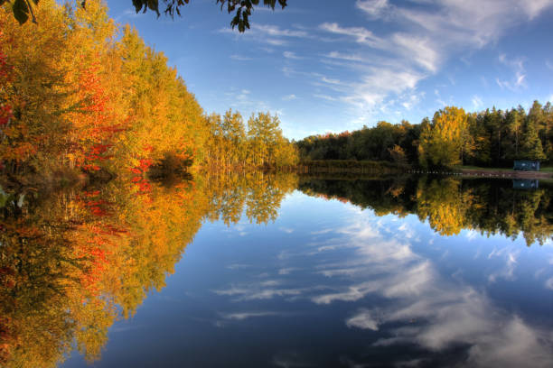 istock autumn pond or park in canada 822960880