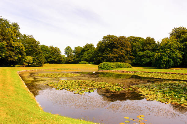 Small lake in the park