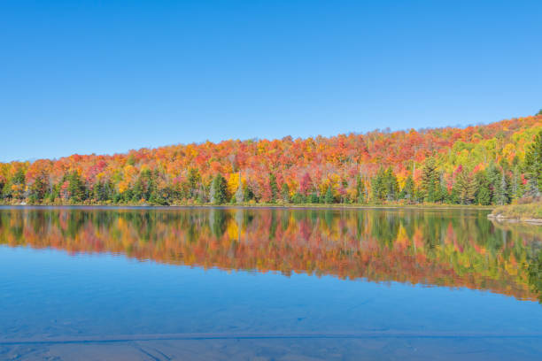 istock Autumn Colors Dance On The Surface Of A Pond 822972792