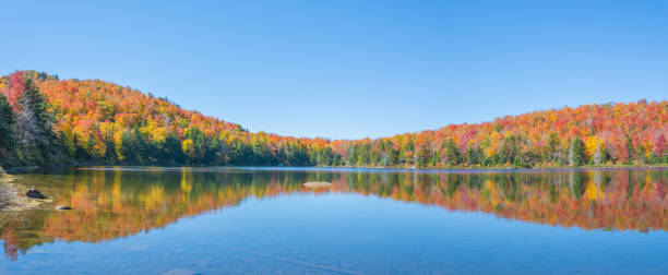 istock An Enchanting Pond With Fall Foliage 822973134