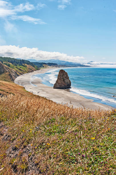 Cape blanco State Park Needle Rock and Surfers
