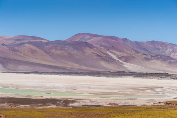 istock Miscante Altiplanic Lagoon in Atacama Desert, Chile 822989454