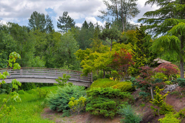 istock Wood Bridge at Tsuru Island Japanese Garden in Gresham Oregon 822993868