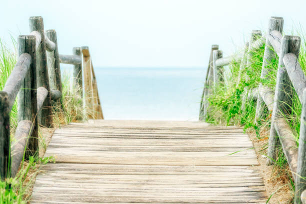 istock Wooden crossing to the dunes 823005422