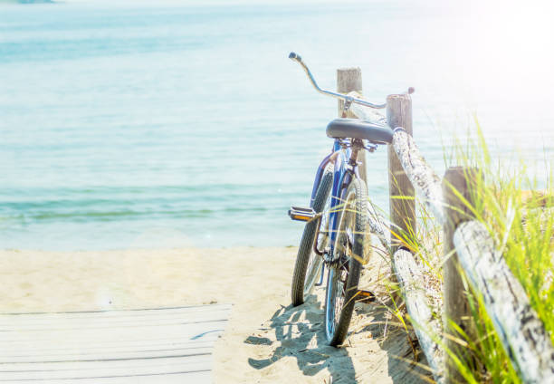 istock Wooden crossing to the dunes 823015362