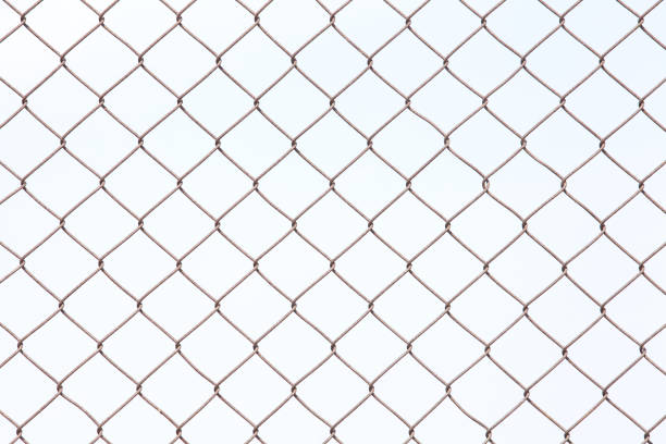 istock Wire mesh metal isolated on a white background 823018418