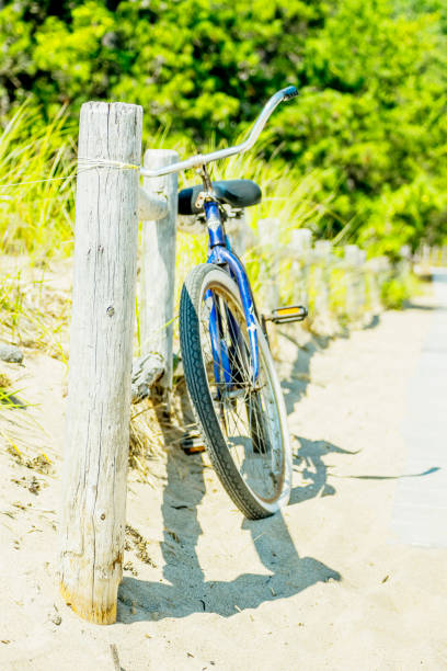 istock Wooden crossing to the dunes 823018876