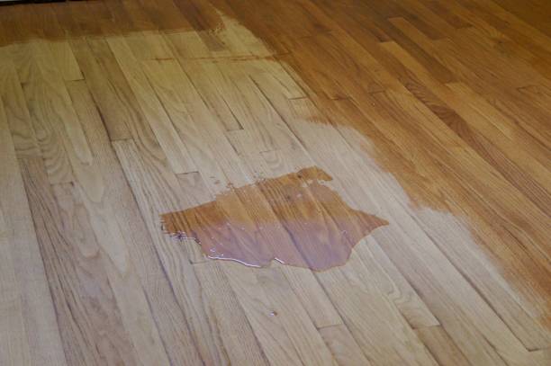istock Refinishing a Hardwood Floor 823024966
