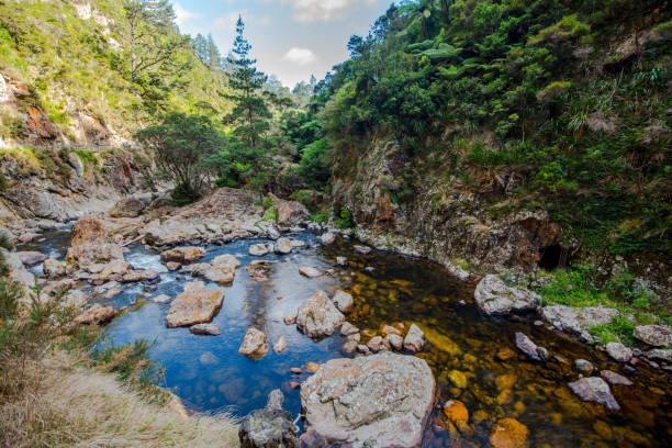 istock Gold Mining Site. Karangahake Gorge, New Zealand 823040936