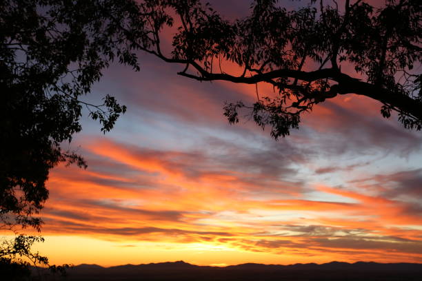 istock Beautiful sunset at Tamworth, NSW Australia 823046106