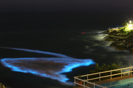 A rare bioluminescent algal bloom at night at Lurline Bay, Sydney Australia.