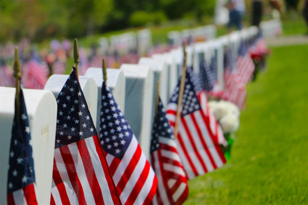 Solemn Reminder of Sacrifice White headstones in a cemetery decorated with American flags soldier grave stock pictures, royalty-free photos & images