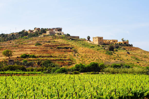 istock Gozo, Malta: Green Vineyards and Village in Springtime 823094948