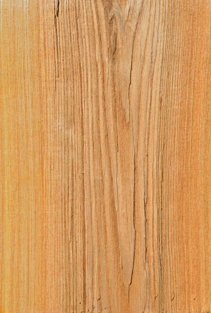 istock Texture of wood 823103402