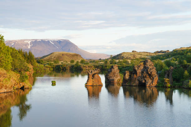 istock Rock formations at Lake Myvatn,Iceland 823134388