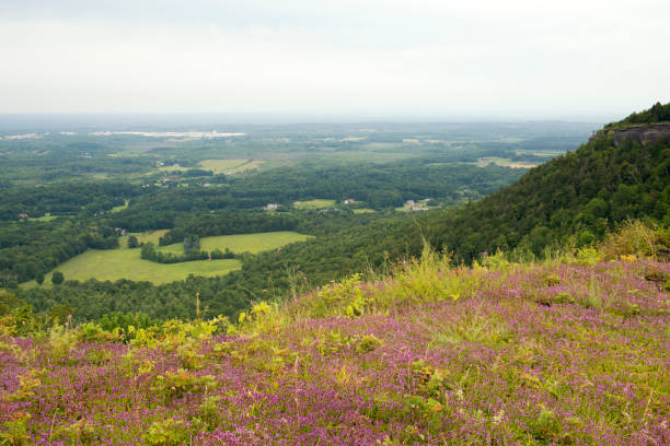 istock Scenery of Thacher State Park in Summer 823145008