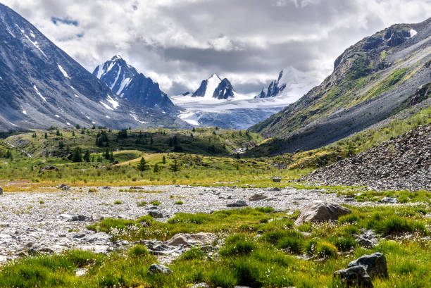 istock mountains glacier flowers stones summer 823172982