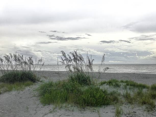 istock Beach dunes in Sanibel Island 823188132