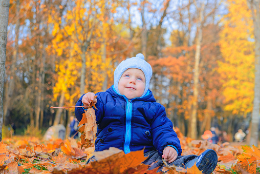 Boy in autumn Park.