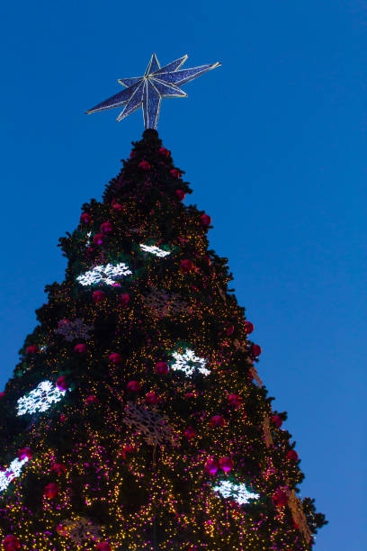istock Christmas tree with White Star on Top in evening. 823232168