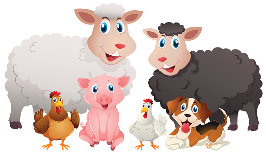 Different Types Of Farm Animals Stock Illustration - Download Image Now -  Piglet, Agriculture, Animal - iStock