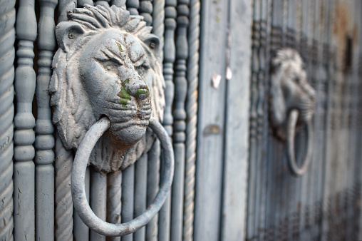 Lion door knocker of the Korean house gate