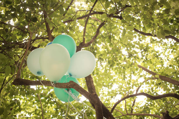 Balloon in the tree background vintage color tone.