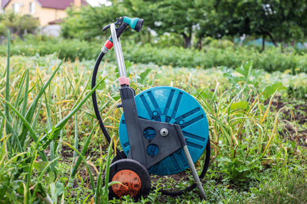 istock An image of a garden hose. Hose for irrigation 823247998