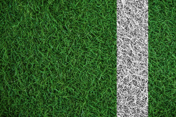 textura de hierba de césped verde con línea blanca, en el campo de fútbol - american football football season white fotografías e imágenes de stock