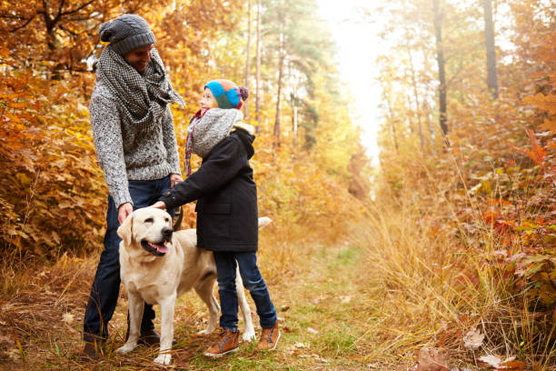 550+ Menino Brincando Com Seu Cachorro No Outono Floresta fotos de stock, imagens e fotos royalty-free - iStock