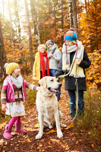 istock Fall the most colorful season in whole year 823272186