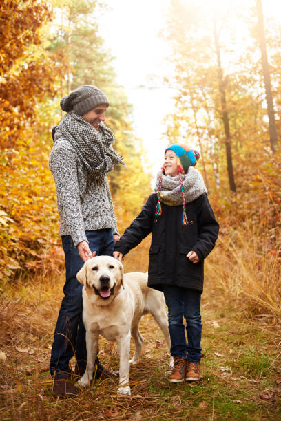 istock Father and son looking after their pet 823279290