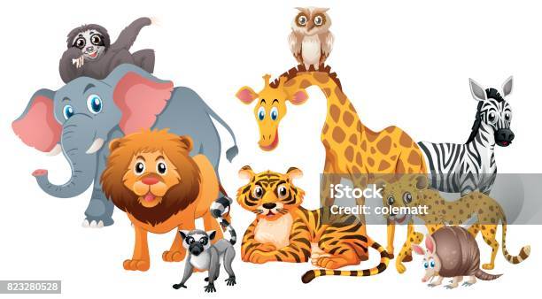 Different Types Of Wild Animals On White Background Stock Illustration - Download Image Now