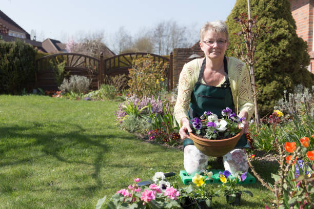 istock Senior woman working in her garden 823293356